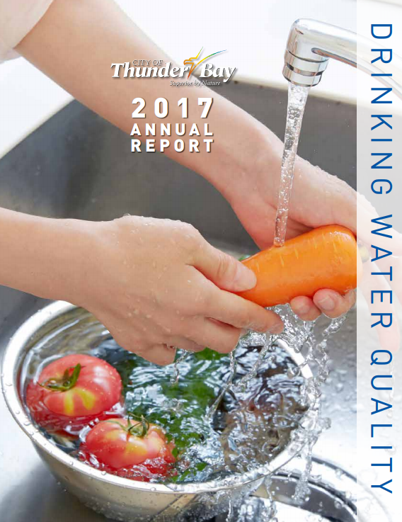 Drinking Water Quality Report 2017- cover image