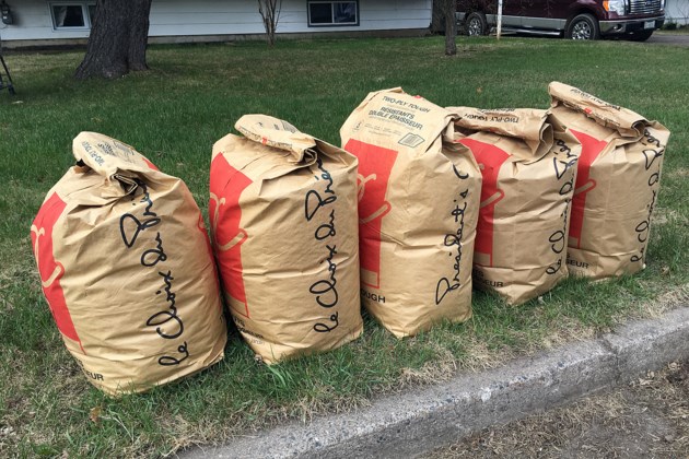 Yard-waste and leaf pick-up begins on Tuesday - 0