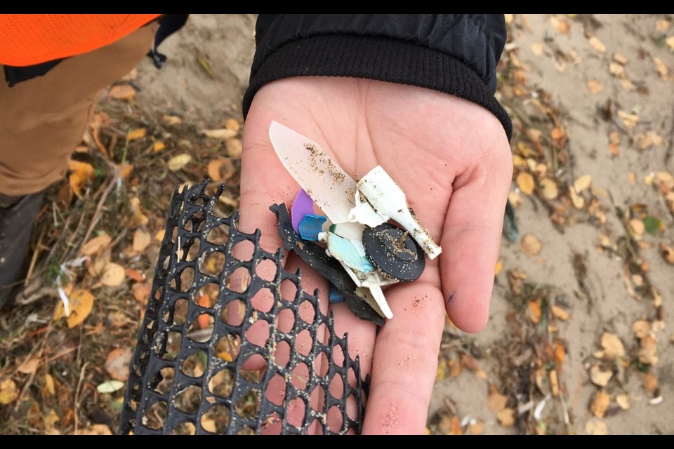 Students can t believe the amount of plastic on Chippewa beach