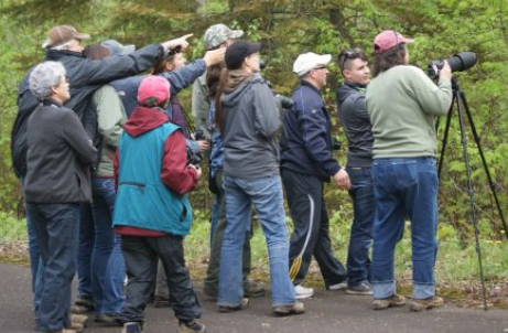 Parks Canada Considers Birdwatching Platform For Hurkett Cove 3 Photos Tbnewswatch Com