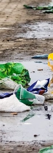 Government Proposing An Official Day Of Action On Litter North Bay News