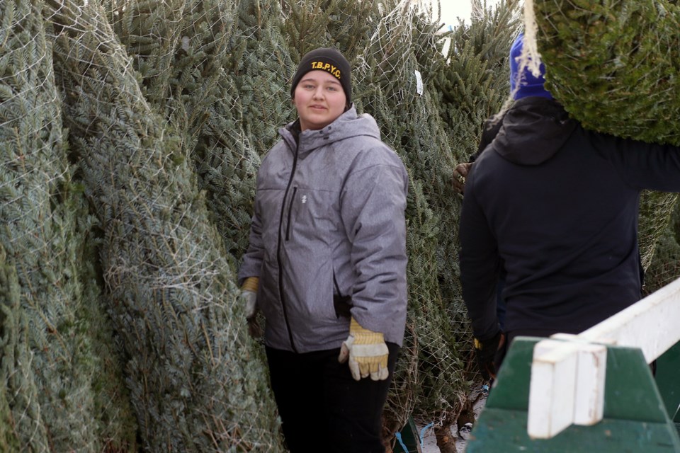 Members of the ski patrol and the Thunder Bay Police Youth Corps on Saturday, Nov. 23, 2019, help unload trees for the Westfort Kiwanis Club's annual Christmas Tree lot at the CLE. (Leith Dunick, tbnewswatch.com)
