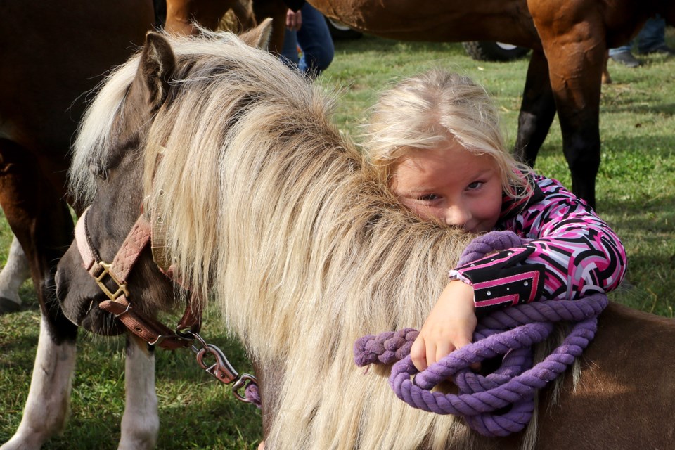 Rebecca Vanlenthe, 7, hugs her pony on Sunday, Sept. 1, 2019 at the Hymers Fall Fair. (Leith Dunick, tbnewswatch.com)