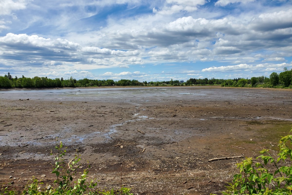 Boulevard Lake drained for dam project (5 Photos) - TBNewsWatch.com