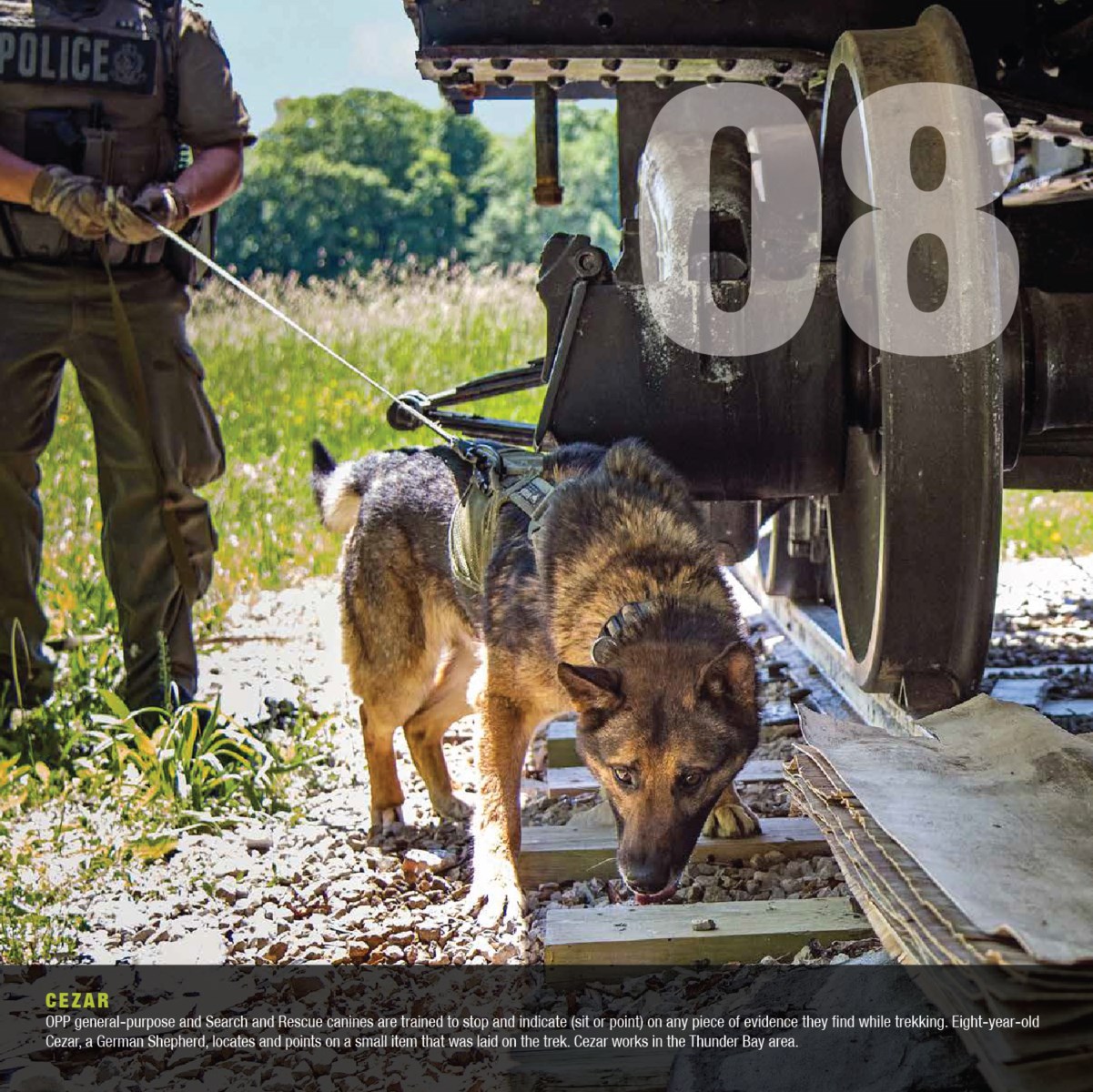 Fifth annual OPP canine calendar now on sale online