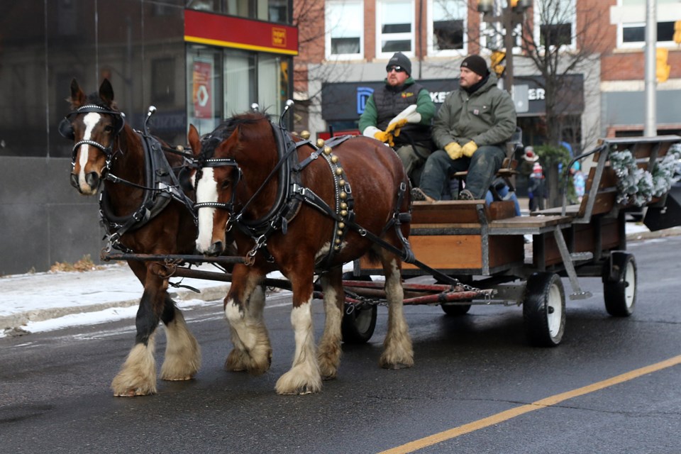 Dell Farms is offering free horse and wagon rides on Saturday, Dec. 4, 2021, until 4 p.m. outside of the Red Lion Smokehouse on Cumberland Street. (Leith Dunick, tbnewswatch.com)