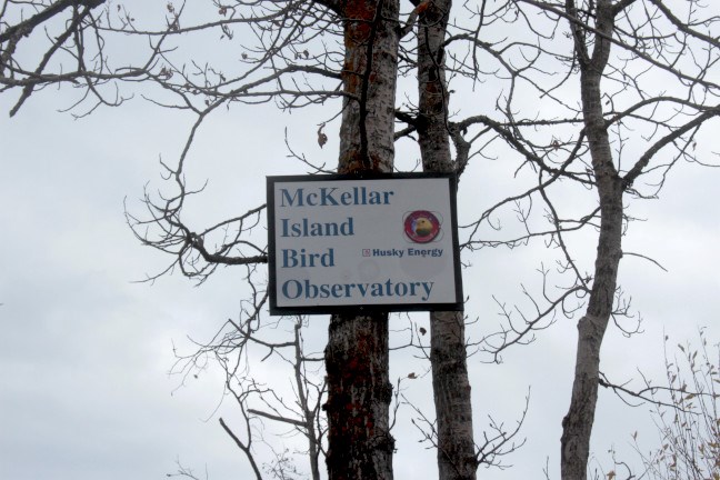 Mckellar Island Bird Observatory sign