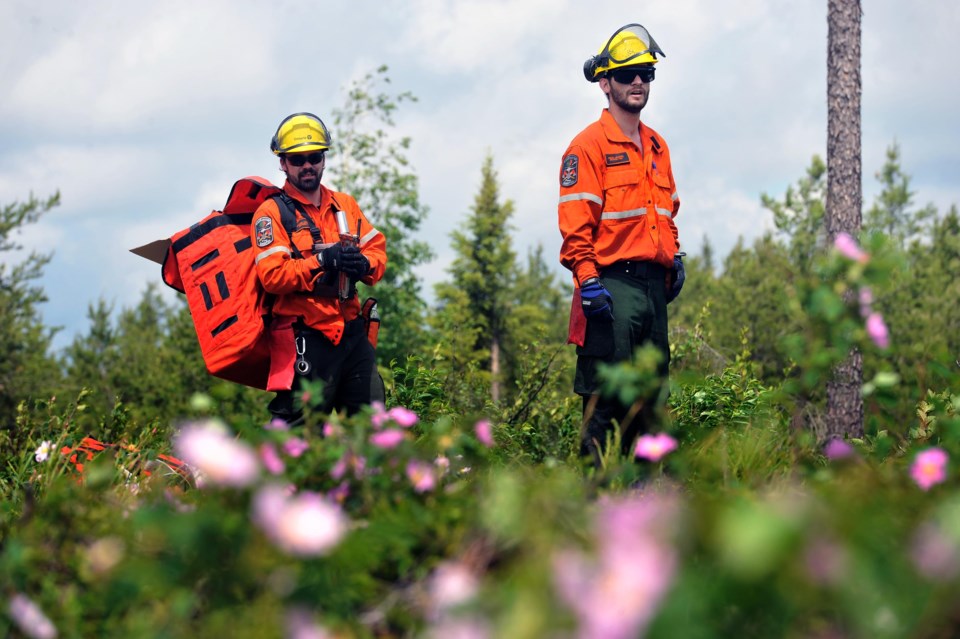 forest fire training mock fire two