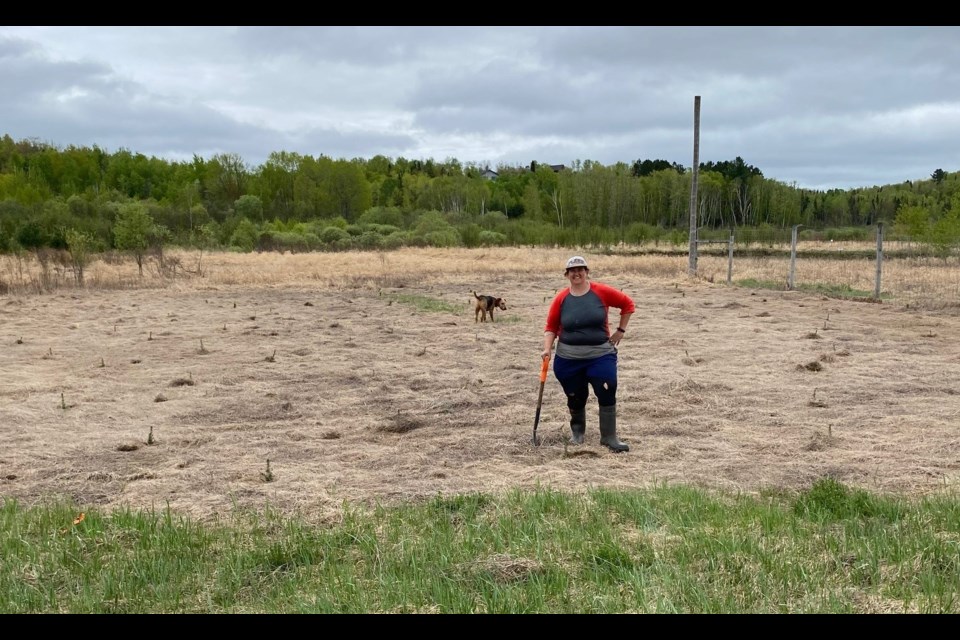 Photo provided by Forests Ontario 