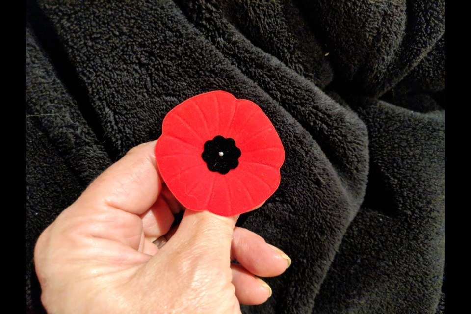 Hospital patients benefit from Remembrance Day poppy sales ...