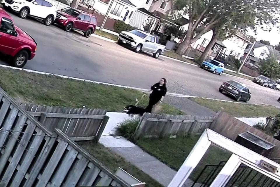 A security camera captured images of a person walking a dog after a six-year-old girl suffered multiple wounds in an incident on Wiley Street on Aug. 6, 2024 (Facebook)