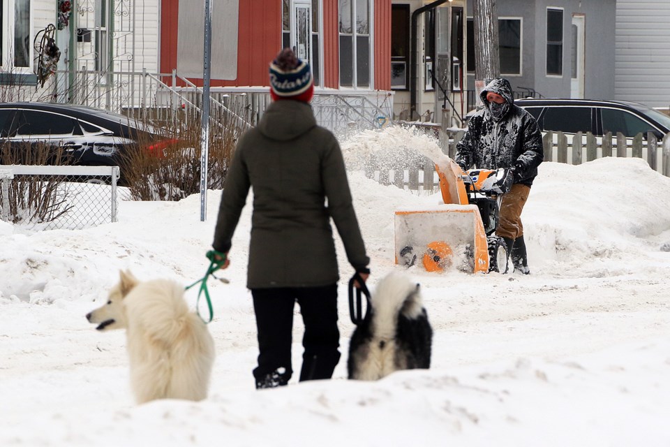 snow-blower-dog-walking-2024