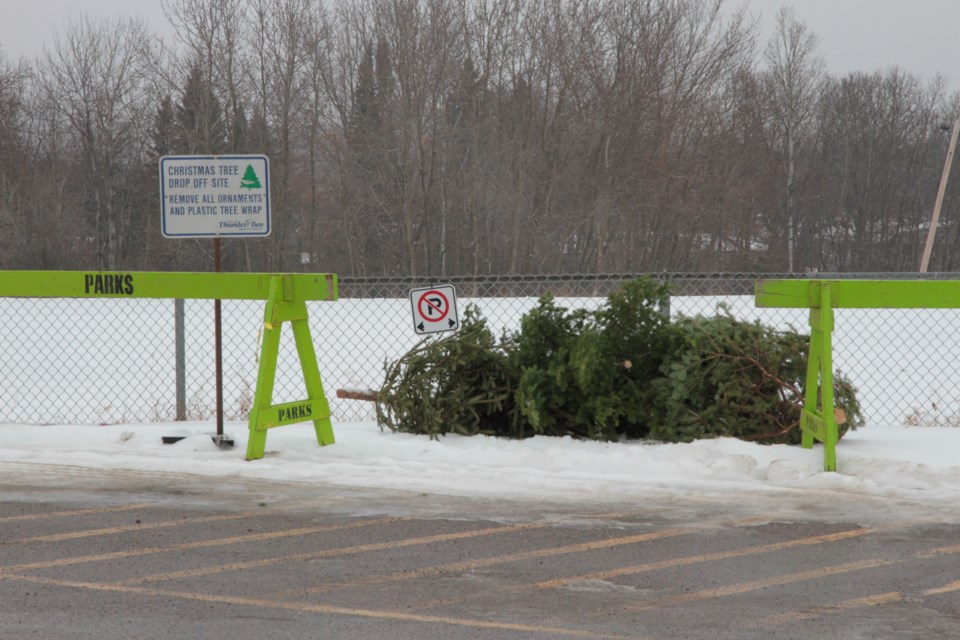 Tree drop-off site: Grandview Arena (Madeline Street between Grandview Arena and Westminster United Church, not in the arena parking lot) 