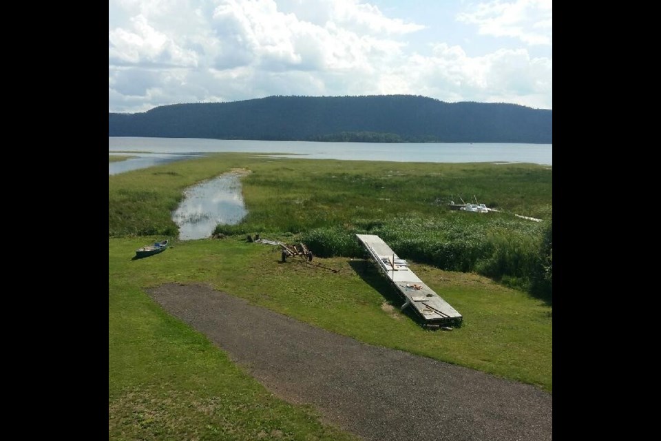 Property-owners have made channels through the plants to get access to open water (submitted photo)