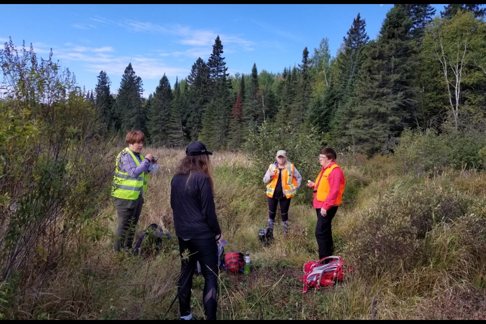 Volunteers work on a section of a planned network of recreational trails (non-motorized use) in the Thunder Bay region (NWORTA)