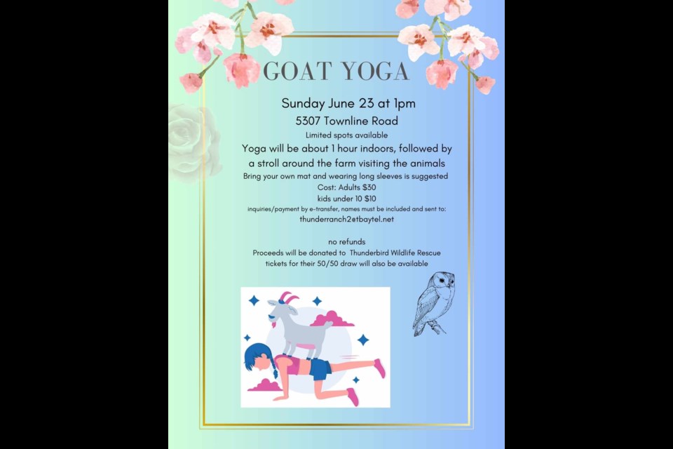 Goat yoga poster