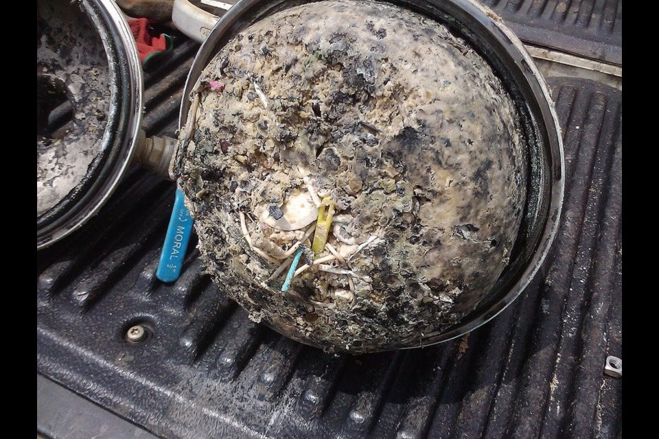 This grease ball, which plugged a sanitary sewer in Mobile, Alabama in 2018, is similar to what has been seen in the Thunder Bay sewer system at times  (Mobile Area Water & Sewer System)