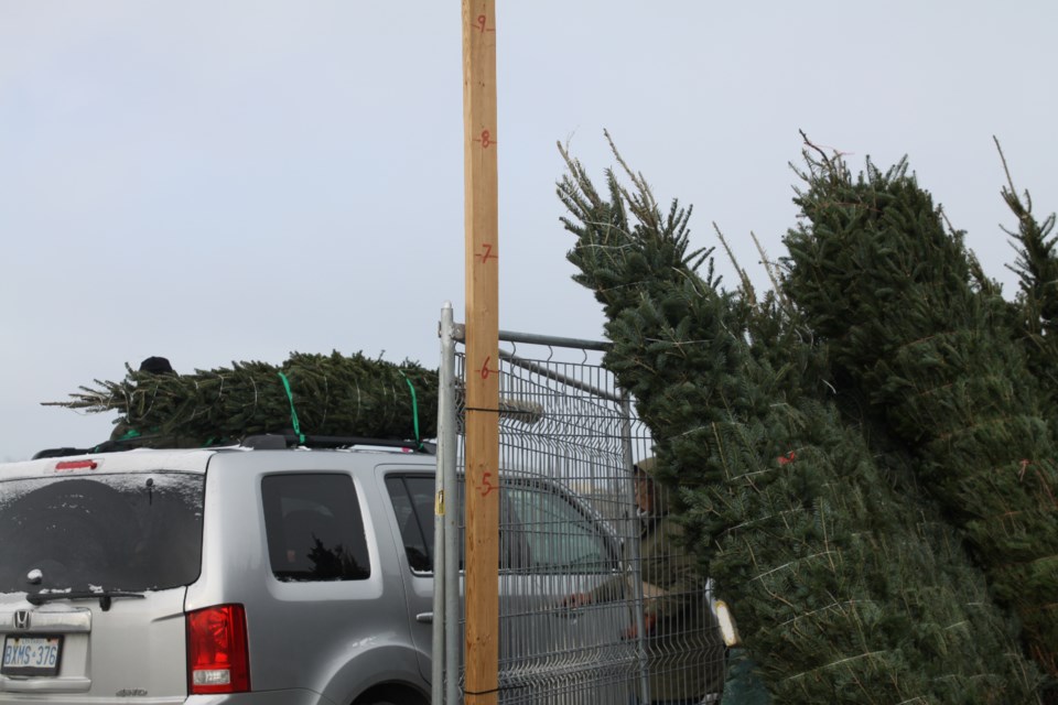 Kiwanis opened its Christmas Tree lot for the 2024 season