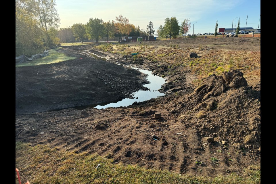 New vegetation will be planted in a 75-metre-long engineered wetland on the south side of Boulevard Lake (Leith Dunick/TBnewswatch)