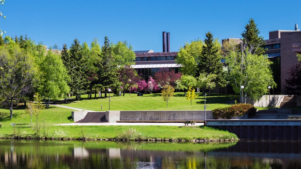 lakehead-university-lake-tamblyn-bloom