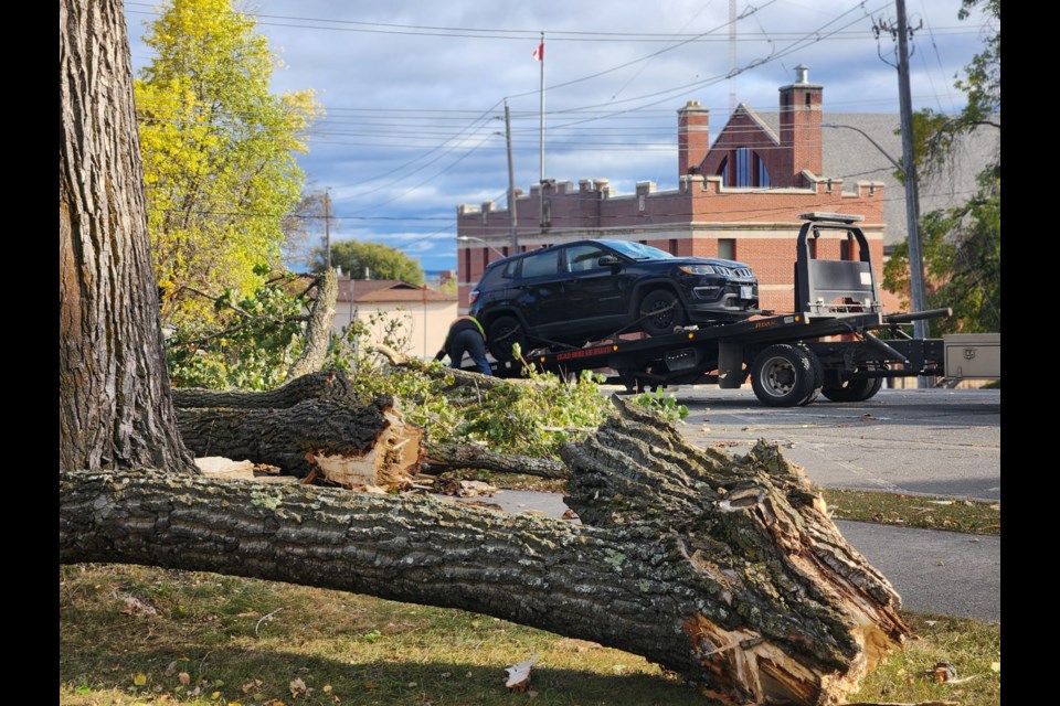 Large limbs were broken off trees in Waverley Park, breaking the windshield on a vehicle that had to be towed away (TBnewswatch)