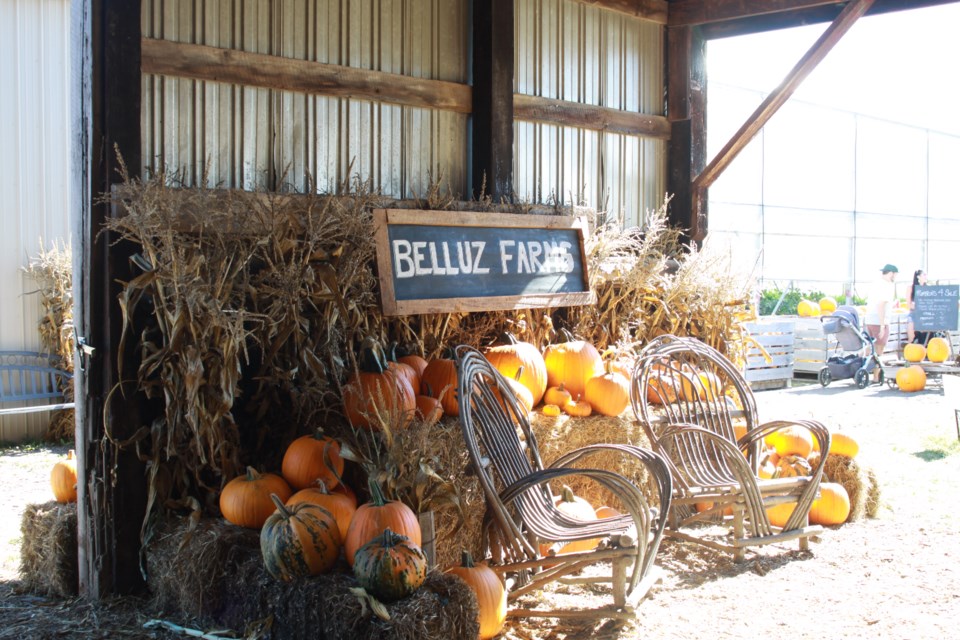 Belluz Farms first Fall Wonderland Weekend of 2024