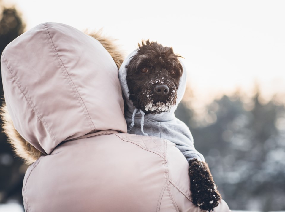 cold-weather-and-pets