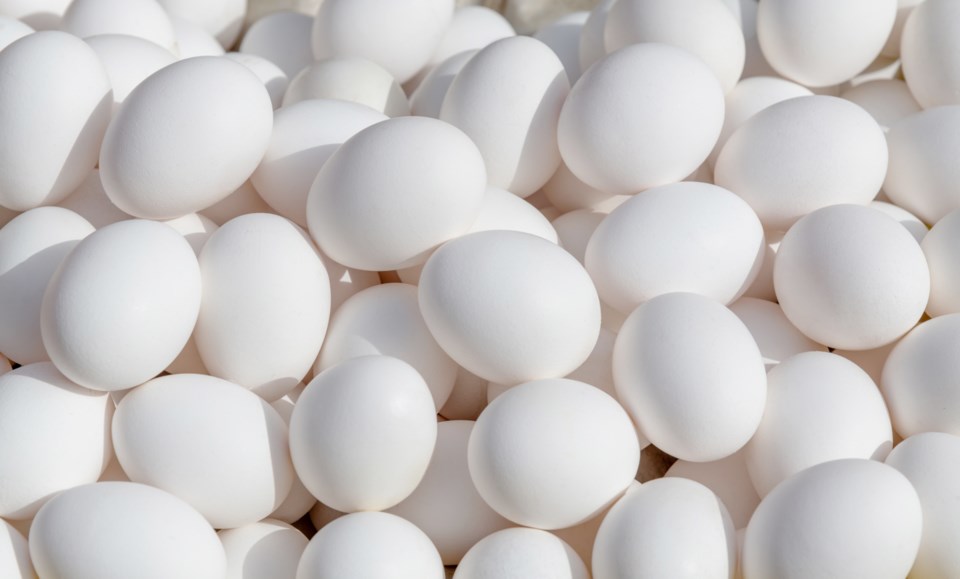 eggs-istock