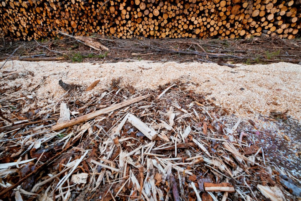 A proposed biorefinery in Fort Frances would convert bark, sawdust and logging debris into low-carbon transportation fuels (iStock/Wirestock)