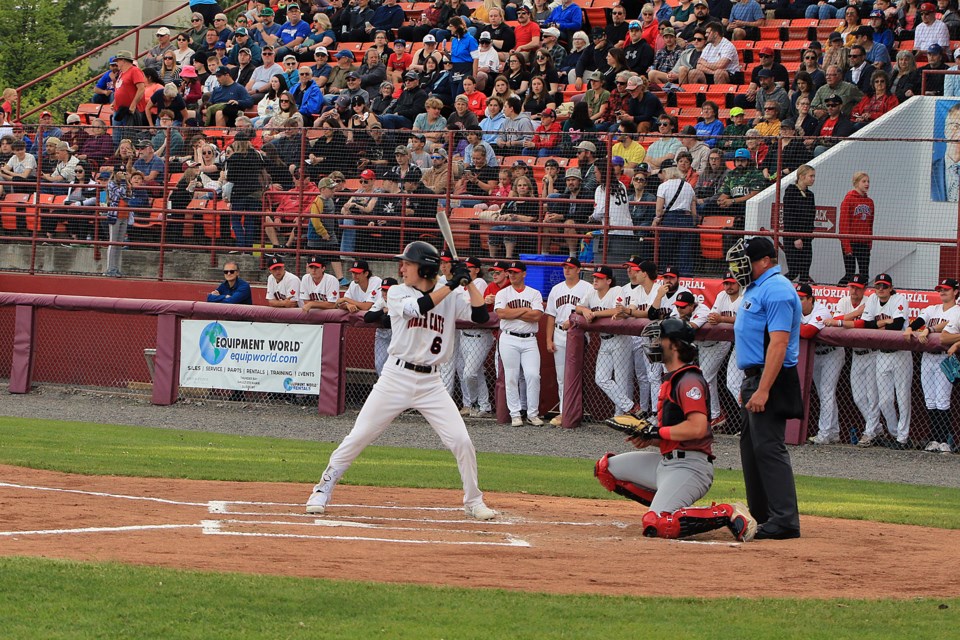 Border Cats bats break out in big way in La Crosse - TBNewsWatch.com