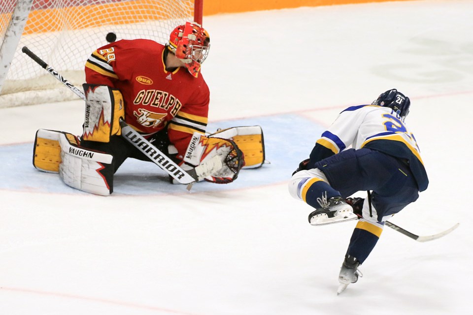 Lakehead's Olivier Pouliot beats Guelph goaltender Tanner Wickware on a second-period penalty shot on Saturday, Nov. 16, 2024. (Leith Dunick, tbnewswatch.com)