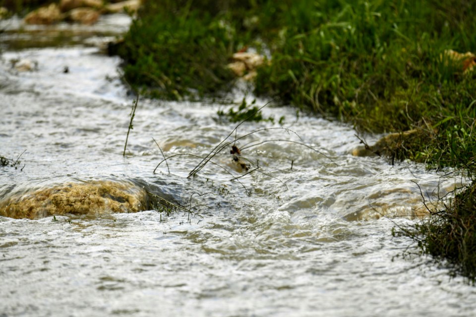 river-bank-creek-water