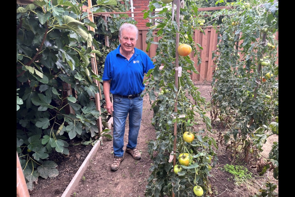 Bruno D'Intino has been recognized by the Thorold Garden Club for his beautiful veggie garden.