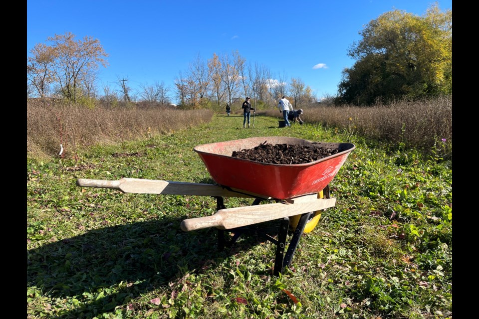 On Saturday morning, a group of volunteers gathered at Lakeview Cemetery to plant over 200 trees and shrubs.