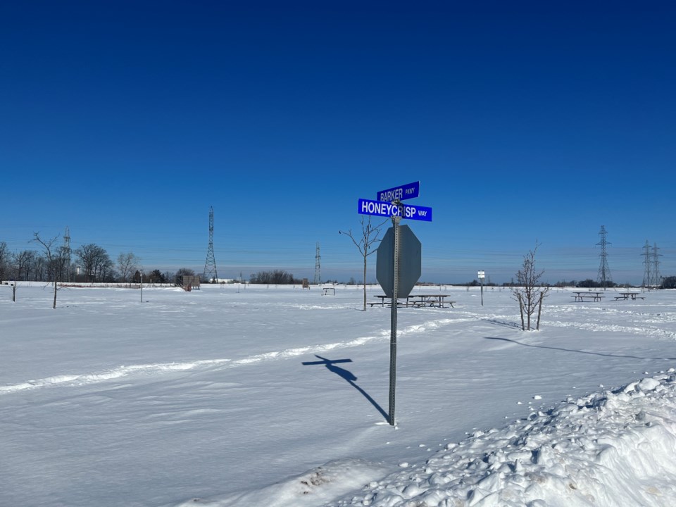 skating rink 2