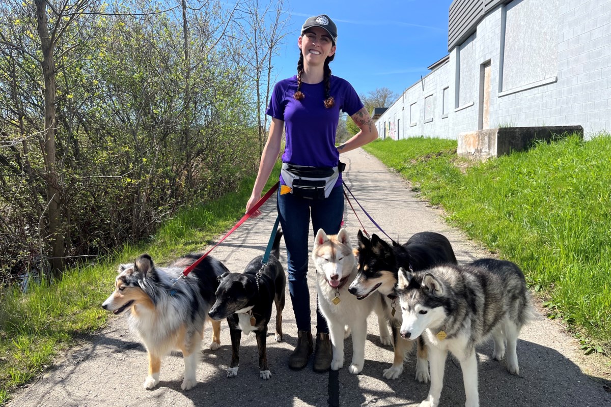 ICYMI: Local dog walker is the leader of the pack