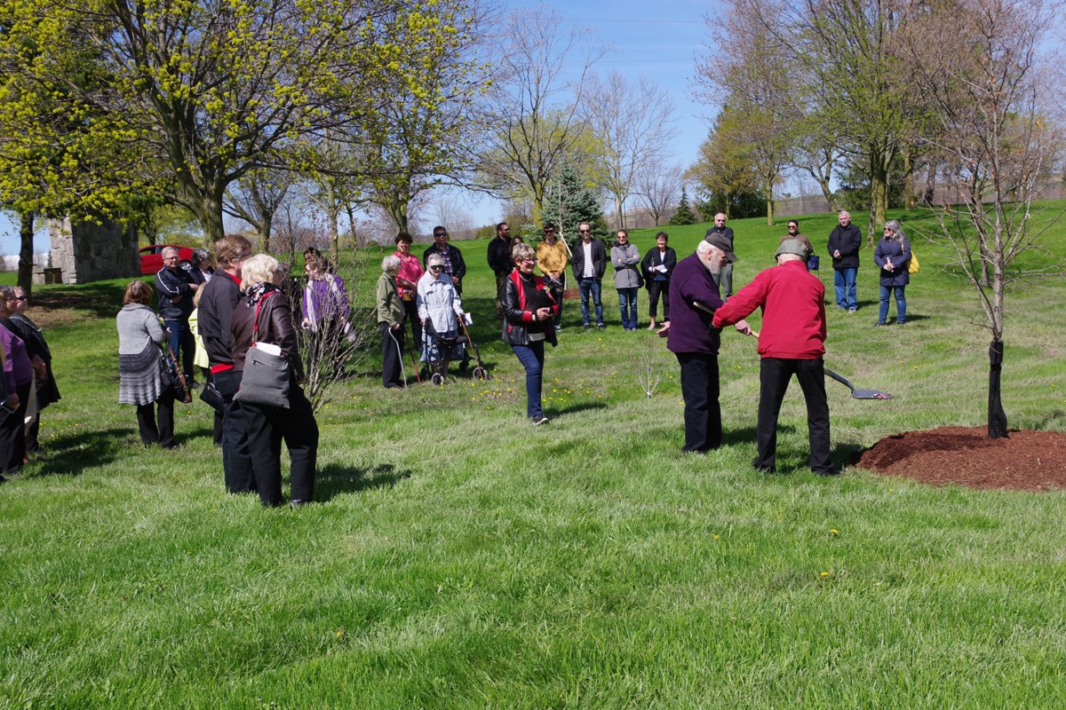 Tree of Life keeps members’ memories alive (8 photos) - Thorold News