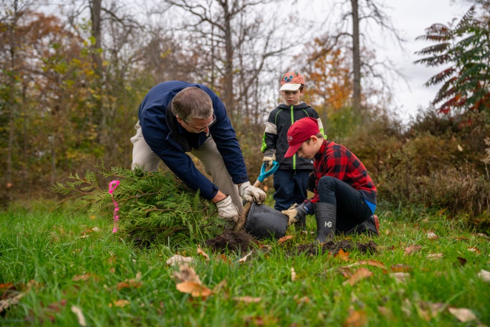 Community tree planting day