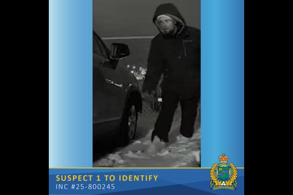 Police are asking for the public's assistance in locating these suspects following a break and enter in St. Catharines on Feb. 10, 2025.