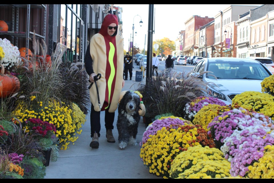 Hotdog! Darby Taylor, with Arthur, are surrounded by flowers and pumpkins as they head down Front Street Saturday during the Thorold BIA's Halloween Puppy Parade.