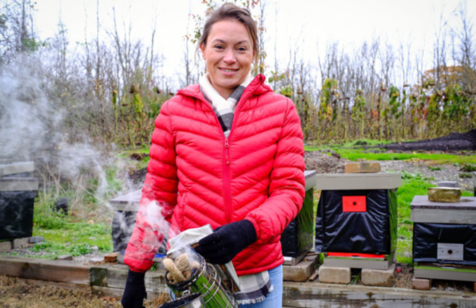 shivering honey bees farmers