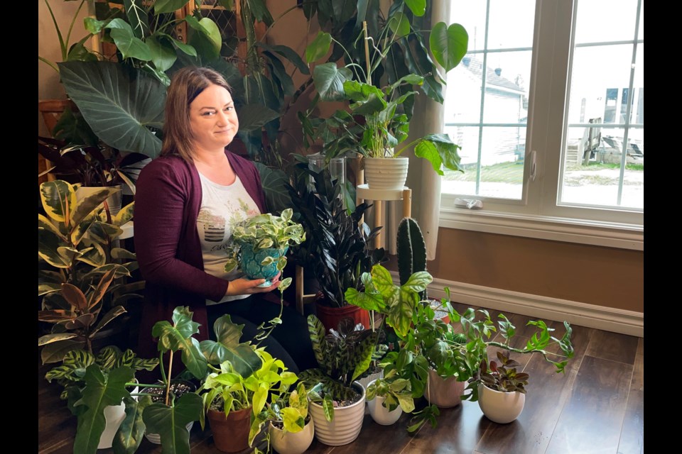 Melissa Ann Silverson, Fancy Plants Timmins owner showing her collections of plants that she sells online.