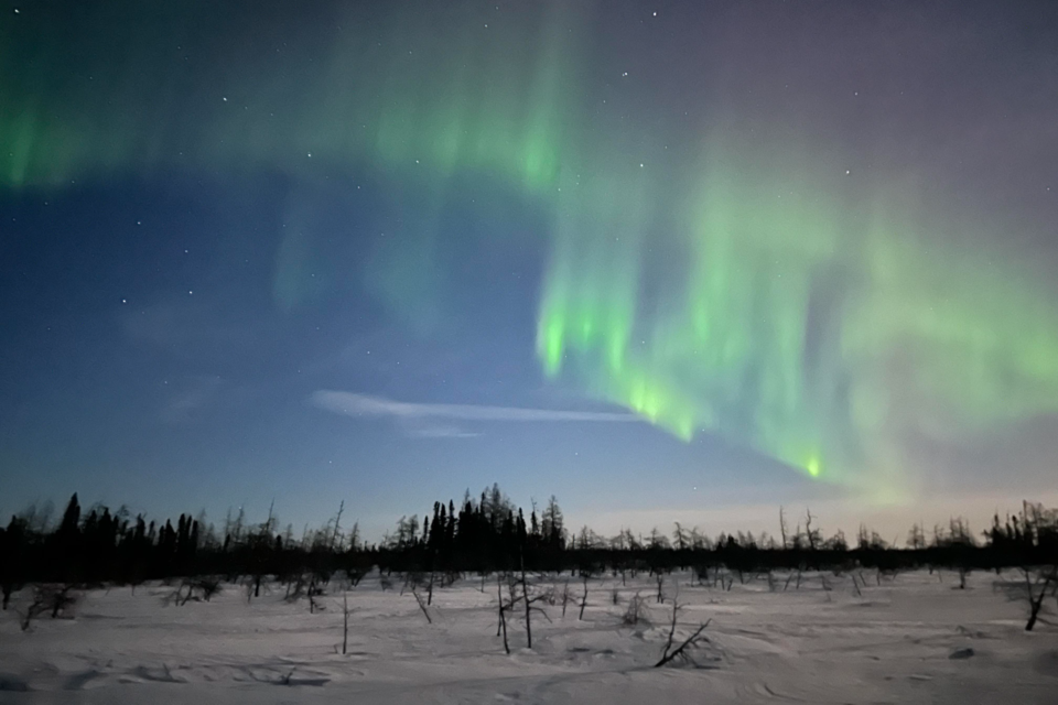 VIDEO: Polar bear cubs and northern lights in the Far North - Sudbury News