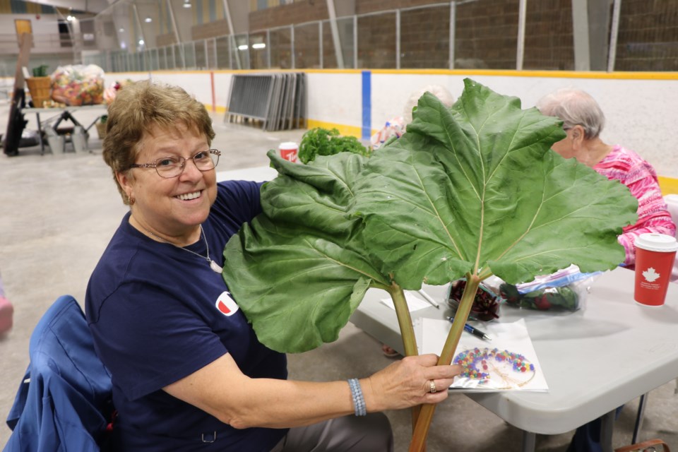 Gaetane Bonnieul brought her art and her vegetables to the Timmins Fall Fair, including her impressive rhubarb.