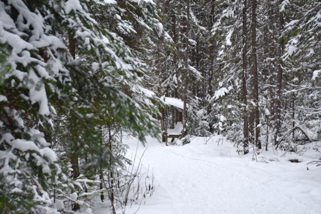 Cold temperatures are back with light snow coming our way