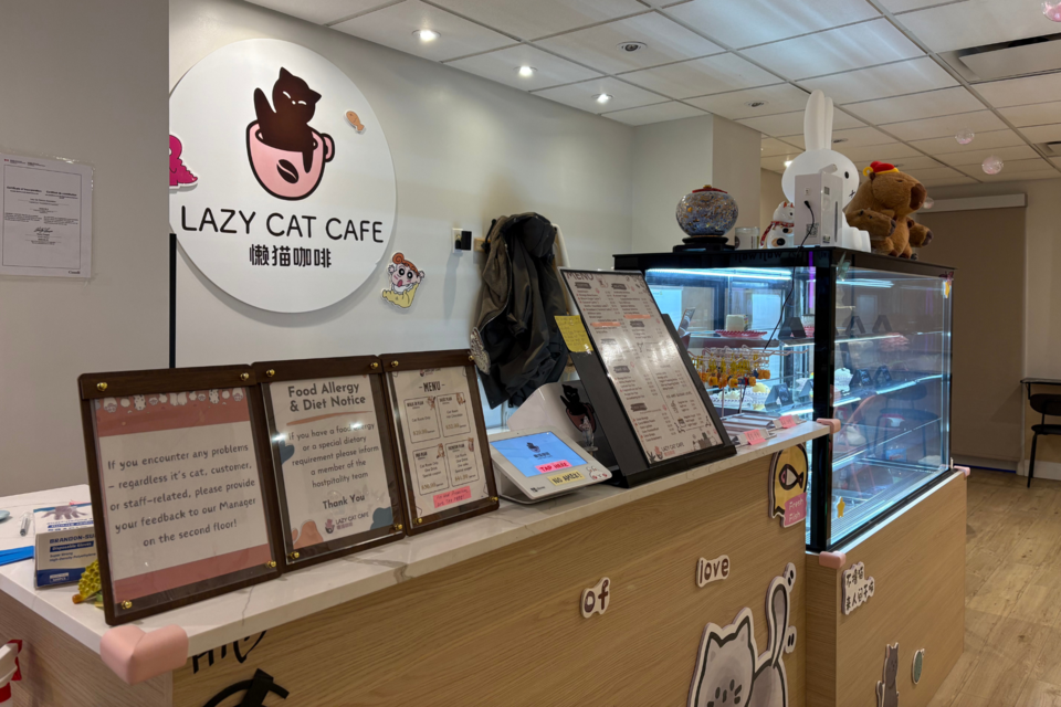 lazy-cat-cafe-km-01