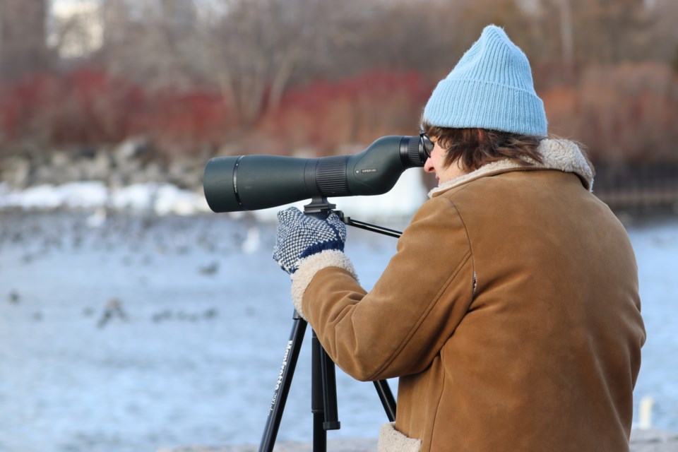 01-26-2025-duckoffbirdwatchingtorontofeministbirdclub-af-03