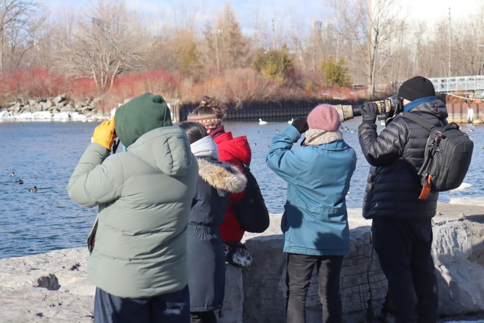 01-26-2025-duckoffbirdwatchingtorontofeministbirdclub-af-06