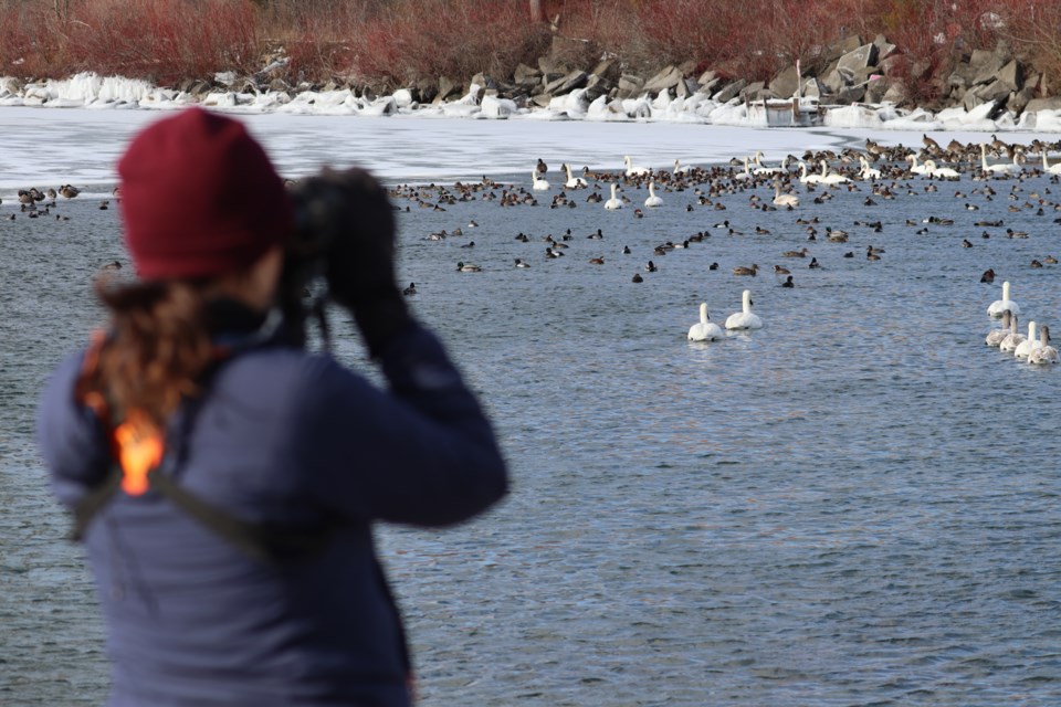 01-26-2025-duckoffbirdwatchingtorontofeministbirdclub-af-09