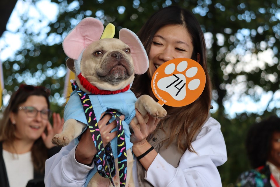 Dogs of all breeds and sizes showed off their cute Halloween costumes to hundreds of pet owners at The Bentway on Saturday.